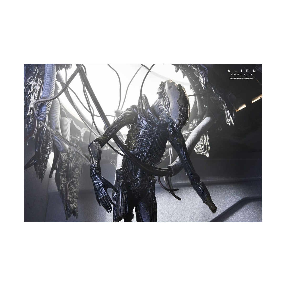 Neca - Alien: Romulus - Laboratorio Deluxe Sospeso Xenomorfo XX121