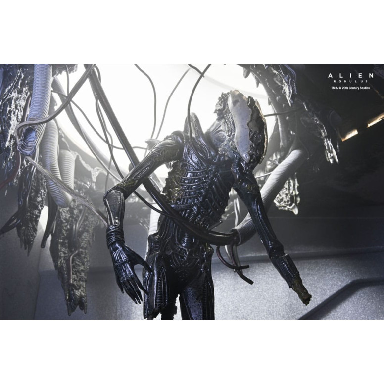 Neca - Alien: Romulus - Laboratorio Deluxe Sospeso Xenomorfo XX121