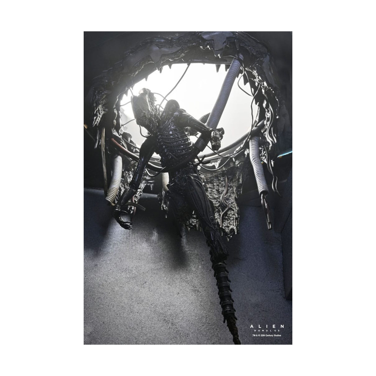 Neca - Alien: Romulus - Laboratorio Deluxe Sospeso Xenomorfo XX121
