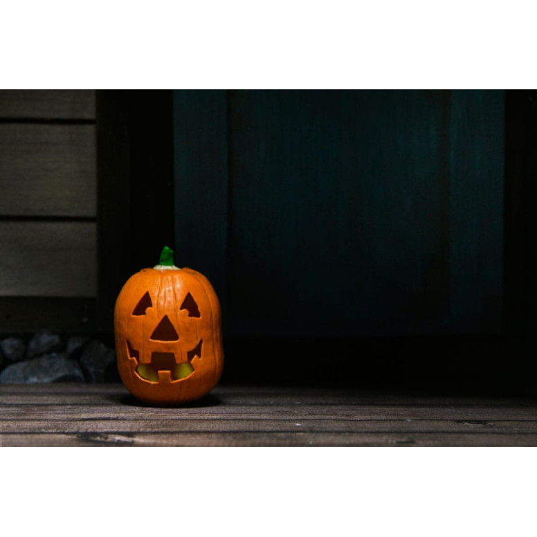 Neca Halloween Resurrection (2002) - Michael Myers definitivo