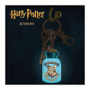 Paladone Portachiavi illuminato a tema Harry Potter