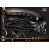 Prime 1 Studio - Big Chap Xenomorph Close Up Shot Ver. Versione bonus DX - Alien (1979) Museo Masterline XL 1/3