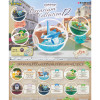 Re-Ment - Pokémon - TERRARIUM COLLECTION VOL 12 set di 6 figure in blind box.