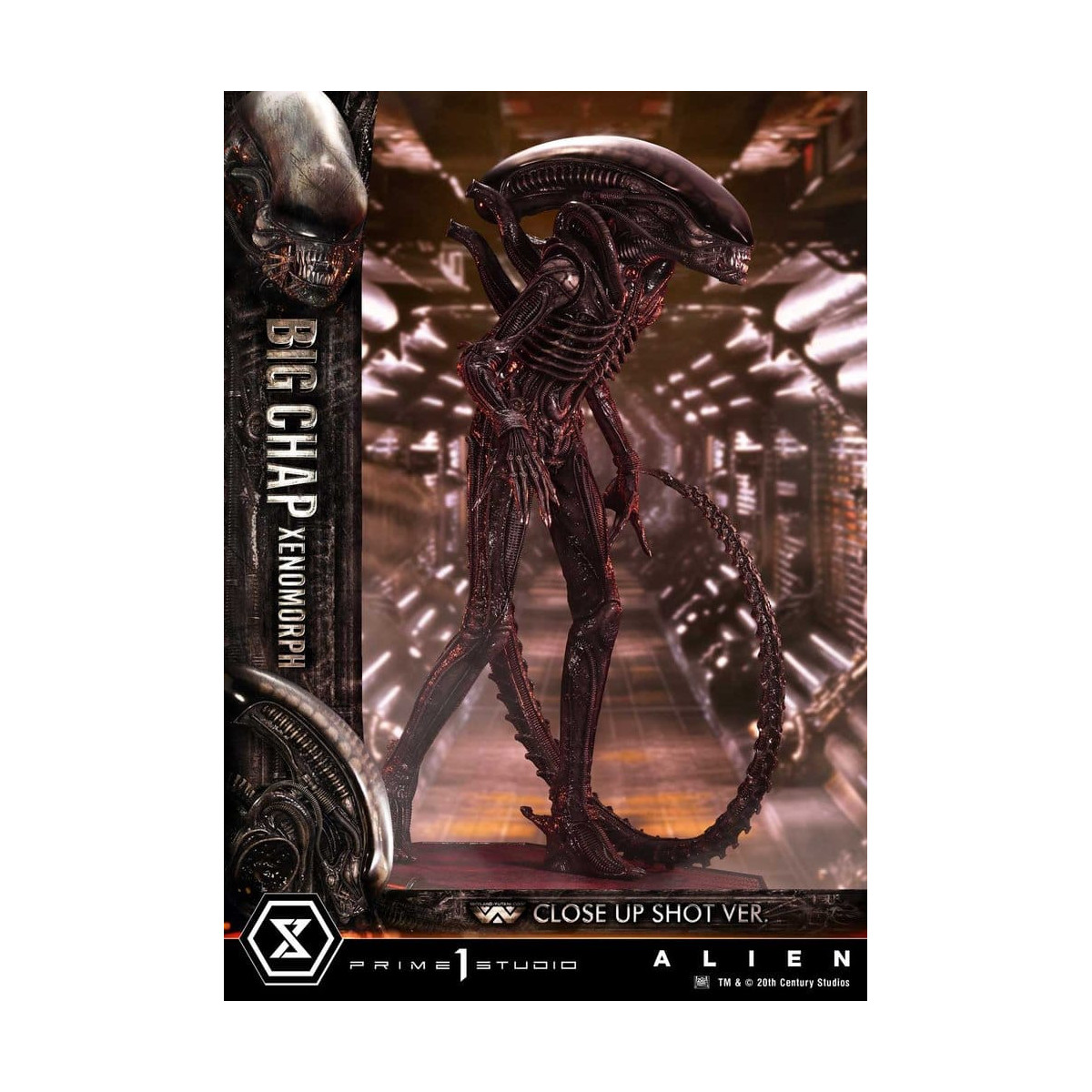Prime 1 Studio - Big Chap Xenomorph Colpo ravvicinato Ver.  - Alien (1979) Museum Masterline XL 1/3