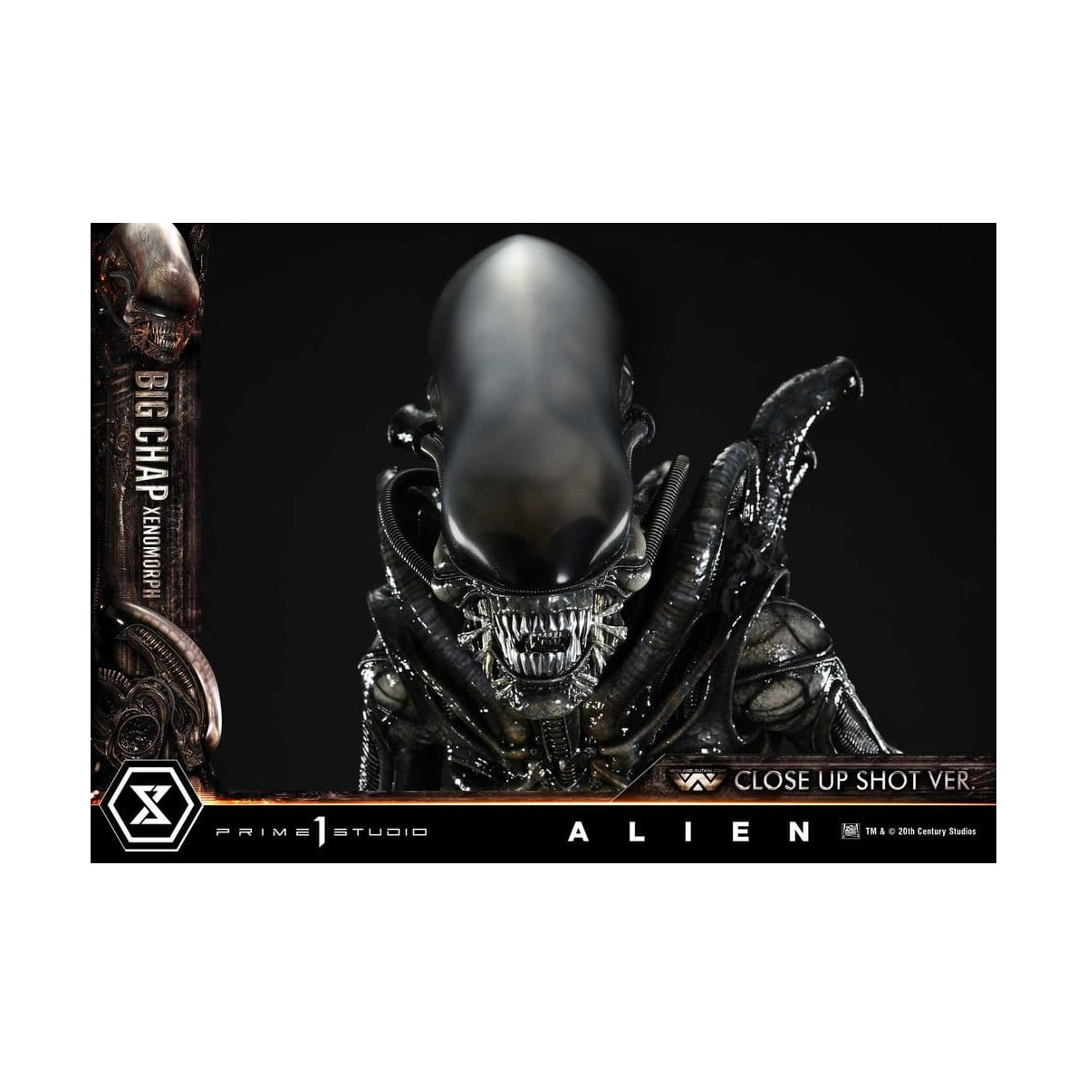 Prime 1 Studio - Big Chap Xenomorph Colpo ravvicinato Ver.  - Alien (1979) Museum Masterline XL 1/3