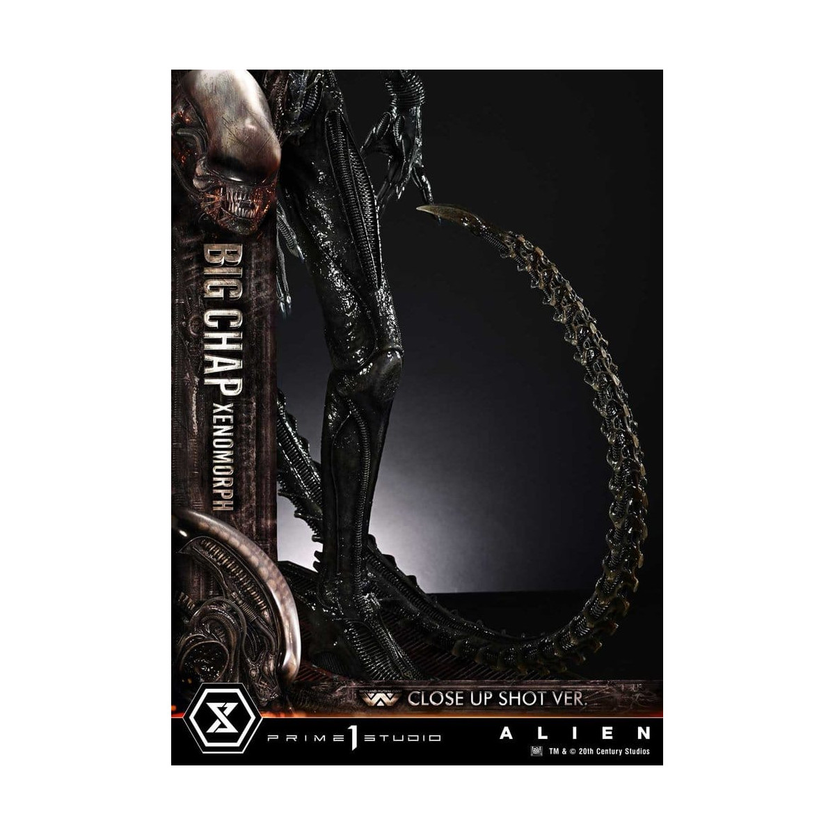 Prime 1 Studio - Big Chap Xenomorph Colpo ravvicinato Ver.  - Alien (1979) Museum Masterline XL 1/3