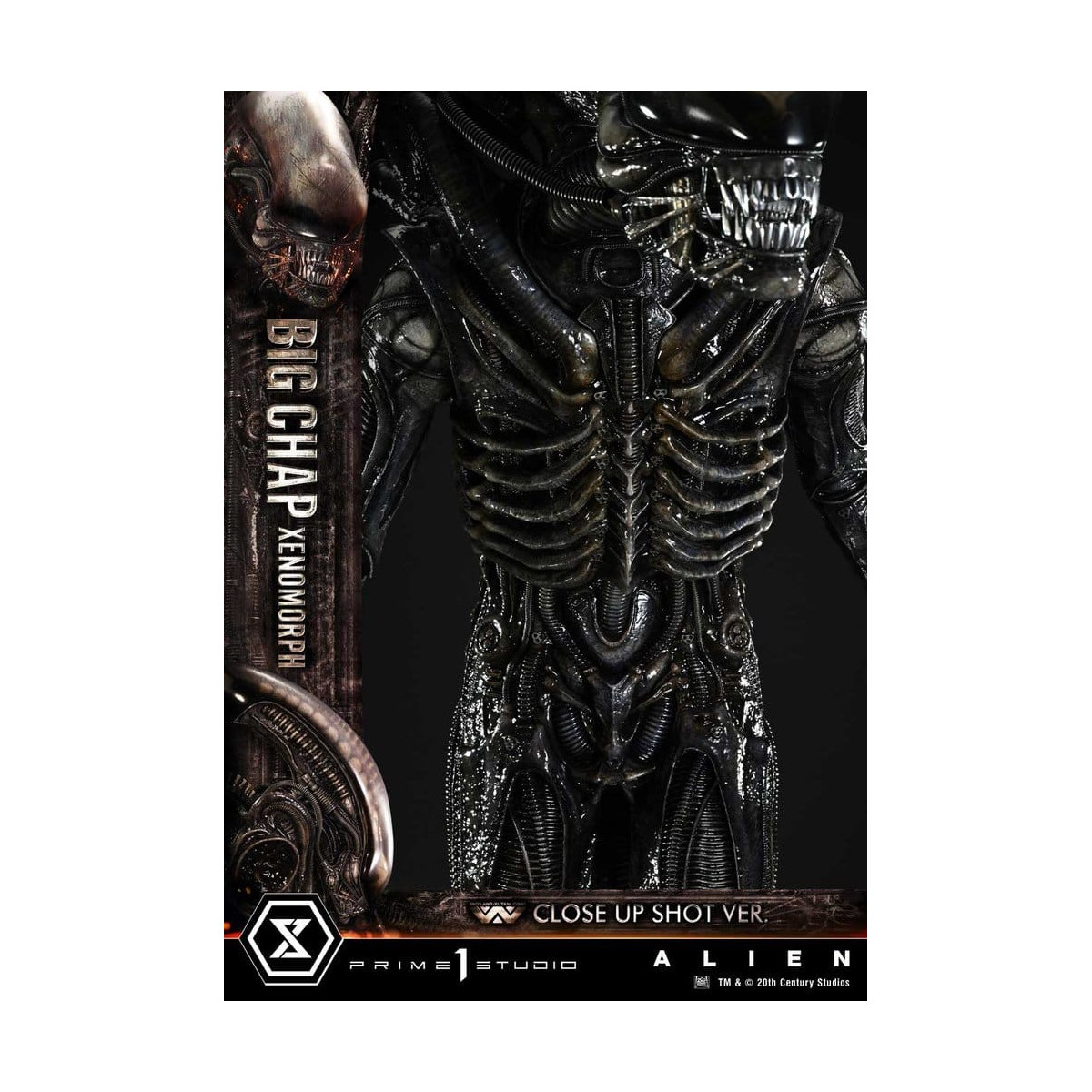 Prime 1 Studio - Big Chap Xenomorph Colpo ravvicinato Ver.  - Alien (1979) Museum Masterline XL 1/3
