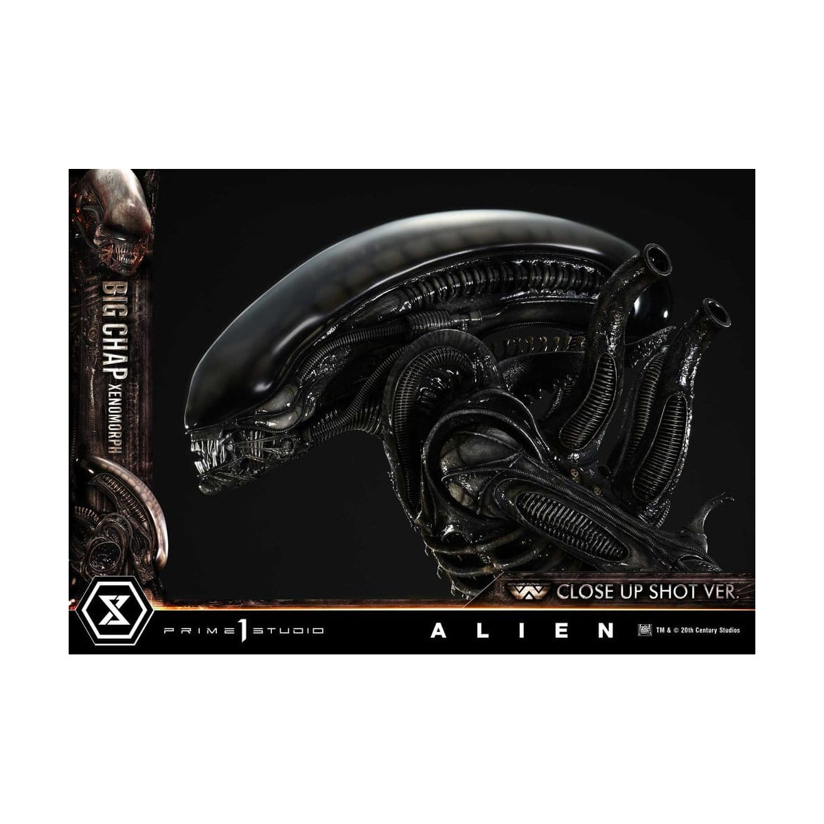 Prime 1 Studio - Big Chap Xenomorph Colpo ravvicinato Ver.  - Alien (1979) Museum Masterline XL 1/3
