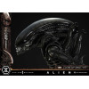 Prime 1 Studio - Big Chap Xenomorph Colpo ravvicinato Ver.  - Alien (1979) Museum Masterline XL 1/3