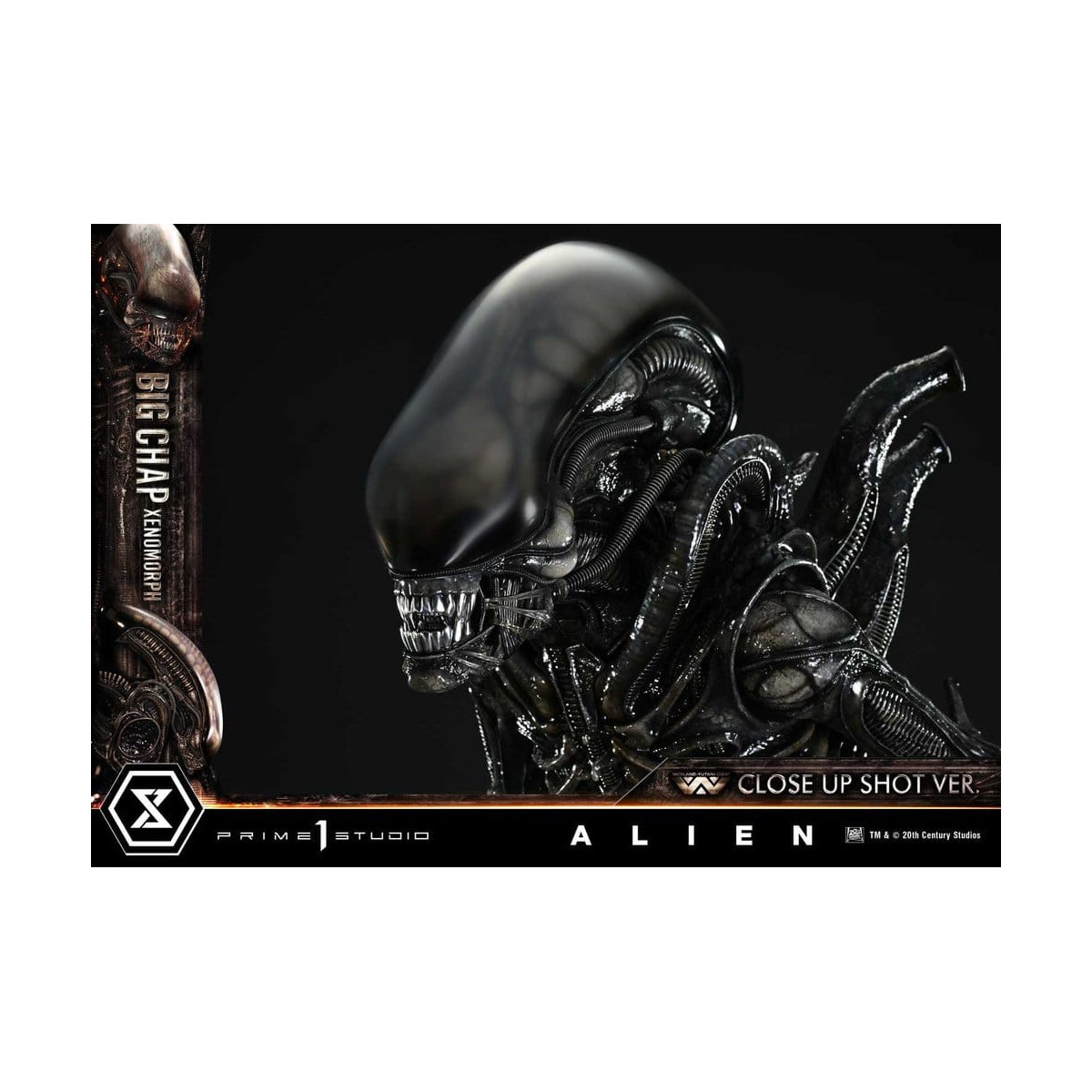 Prime 1 Studio - Big Chap Xenomorph Colpo ravvicinato Ver.  - Alien (1979) Museum Masterline XL 1/3