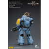 JoyToy - Space Marines II - Space Wolves - Intercessore pesante con fucile a otturatore pesante e pistola a otturatore 1/18