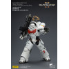 JoyToy - Space Marines II - Cicatrici bianche - Intercessore pesante con fucile pesante e pistola a proiettile 1/18
