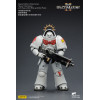 JoyToy - Space Marines II - Cicatrici bianche - Intercessore pesante con fucile pesante e pistola a proiettile 1/18