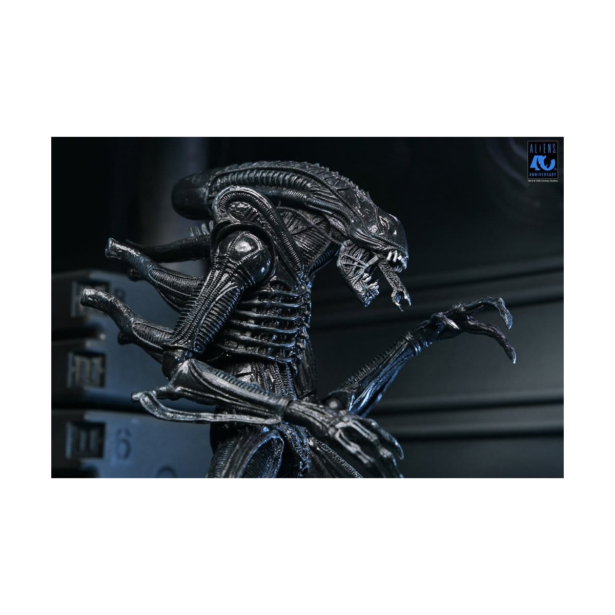 Neca Aliens - Ultimate Xenomorph Warrior - 40° anniversario (1986)