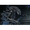 Neca Aliens - Ultimate Xenomorph Warrior - 40° anniversario (1986)