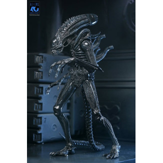 Neca Aliens - Ultimate Xenomorph Warrior - 40° anniversario (1986)