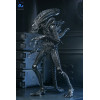 Neca Aliens - Ultimate Xenomorph Warrior - 40° anniversario (1986)