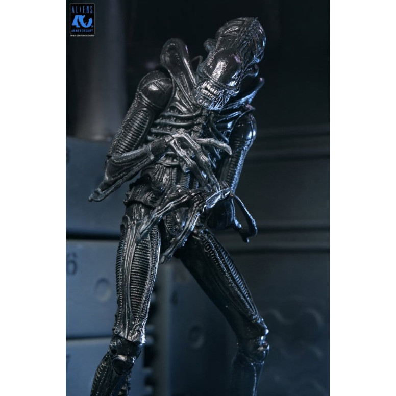 Neca Aliens - Ultimate Xenomorph Warrior - 40° anniversario (1986)