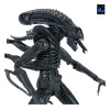 Neca Aliens - Ultimate Xenomorph Warrior - 40° anniversario (1986)