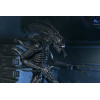 Neca Aliens - Ultimate Xenomorph Warrior - 40° anniversario (1986)