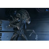 Neca Aliens - Ultimate Xenomorph Warrior - 40° anniversario (1986)