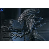 Neca Aliens - Ultimate Xenomorph Warrior - 40° anniversario (1986)