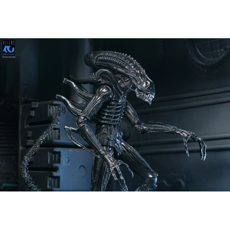 Neca Aliens - Ultimate Xenomorph Warrior - 40° anniversario (1986)