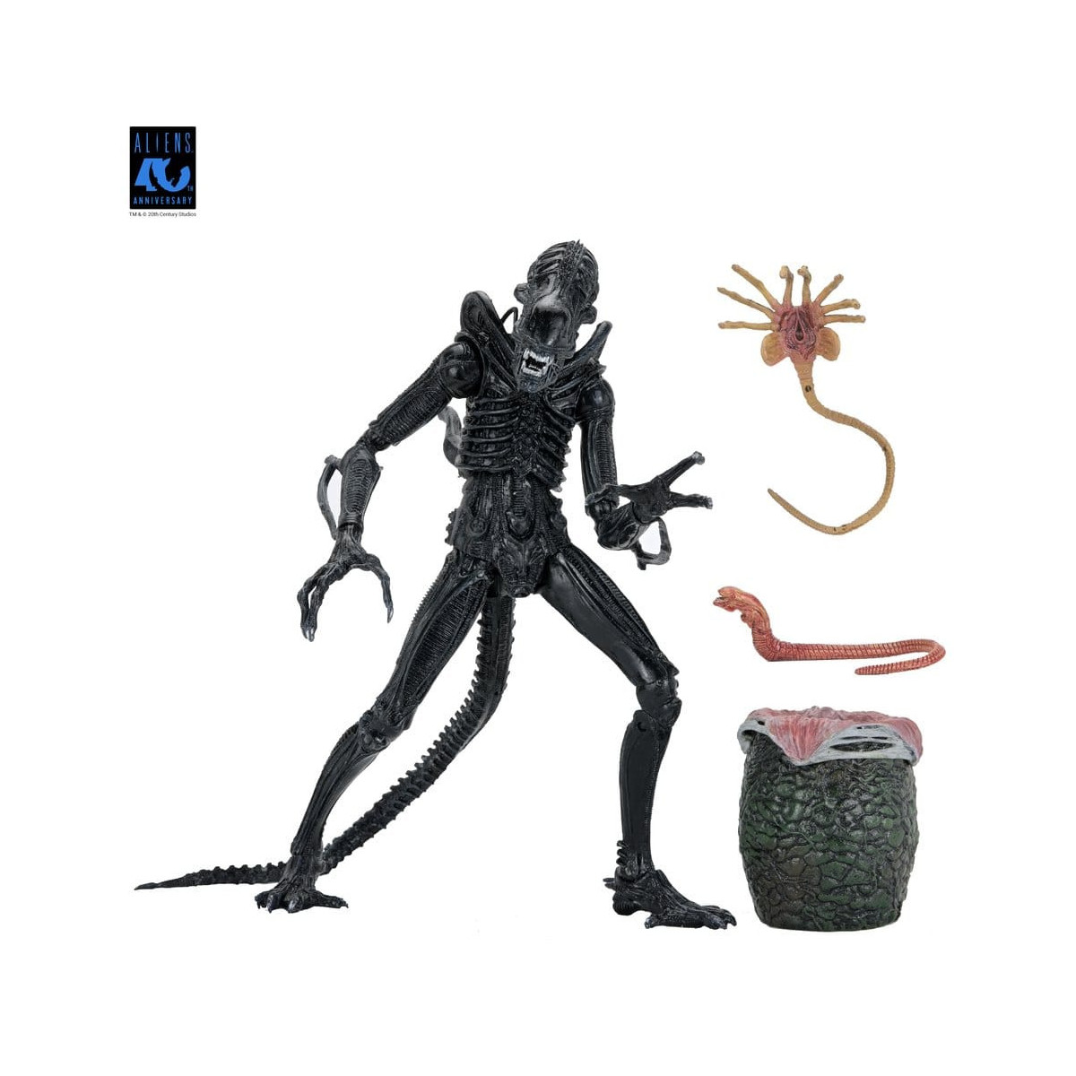 Neca Aliens - Ultimate Xenomorph Warrior - 40° anniversario (1986)