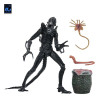Neca Aliens - Ultimate Xenomorph Warrior - 40° anniversario (1986)