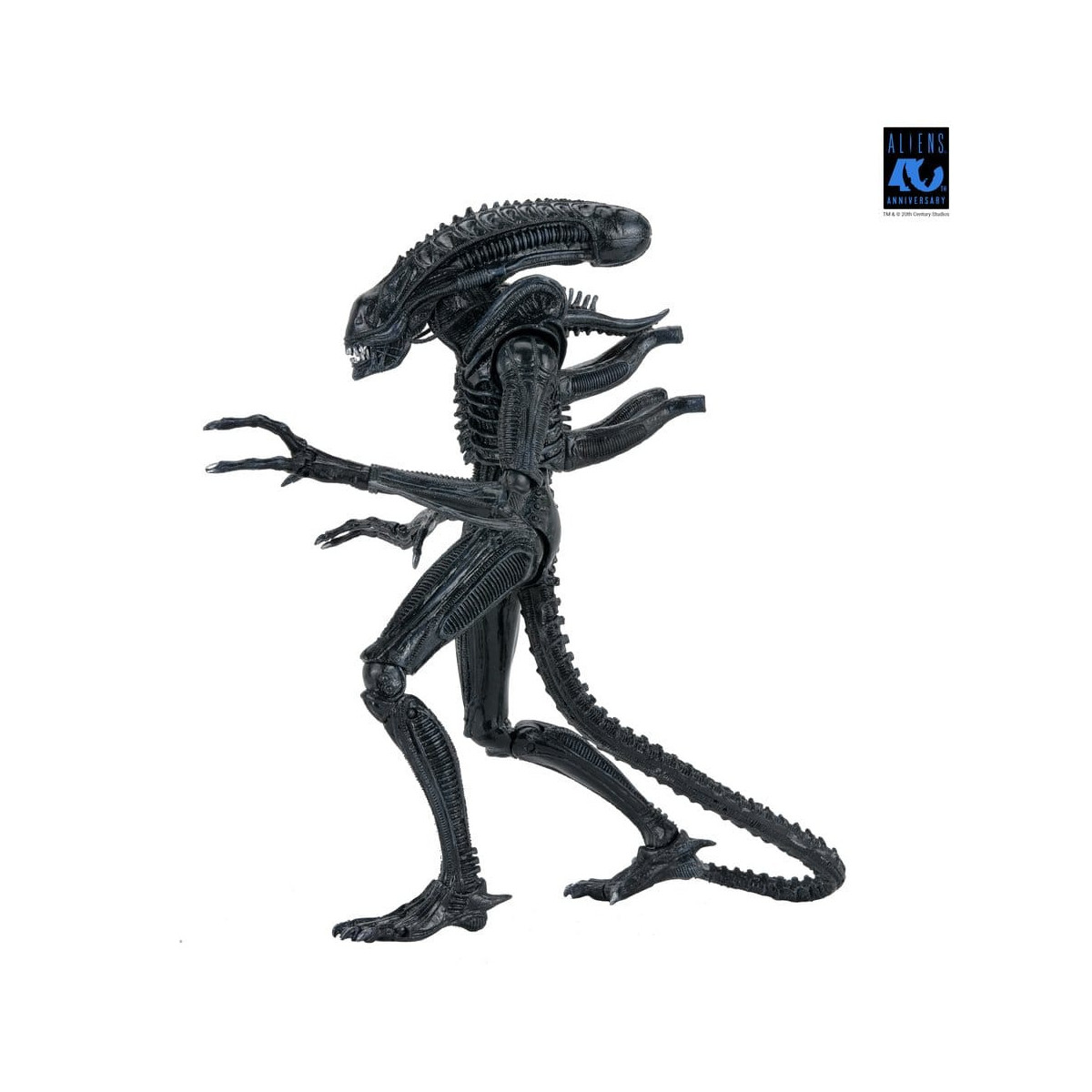 Neca Aliens - Ultimate Xenomorph Warrior - 40° anniversario (1986)