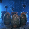 Neca Aliens - Cartone di uova aliene (40° anniversario) - Confezione da 6 accessori