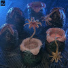 Neca Aliens - Cartone di uova aliene (40° anniversario) - Confezione da 6 accessori