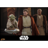 Hot Toys Star Wars - YODA 1/6 MMS878 - Episodio III: la vendetta dei Sith