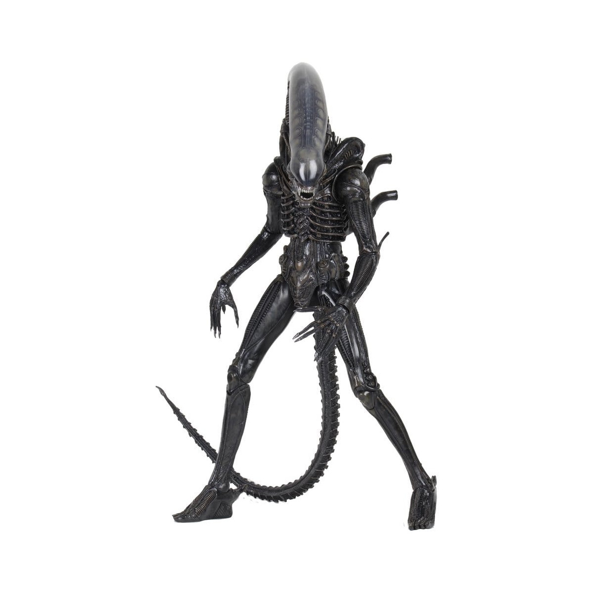 Neca Alien 1979 - Big Chap 1/4 - Scatola Kenner