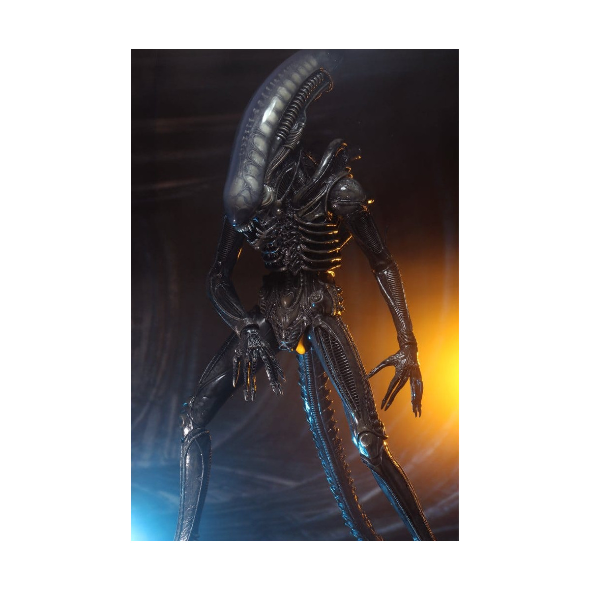 Neca Alien 1979 - Big Chap 1/4 - Scatola Kenner