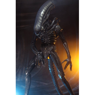 Neca Alien 1979 - Big Chap 1/4 - Scatola Kenner
