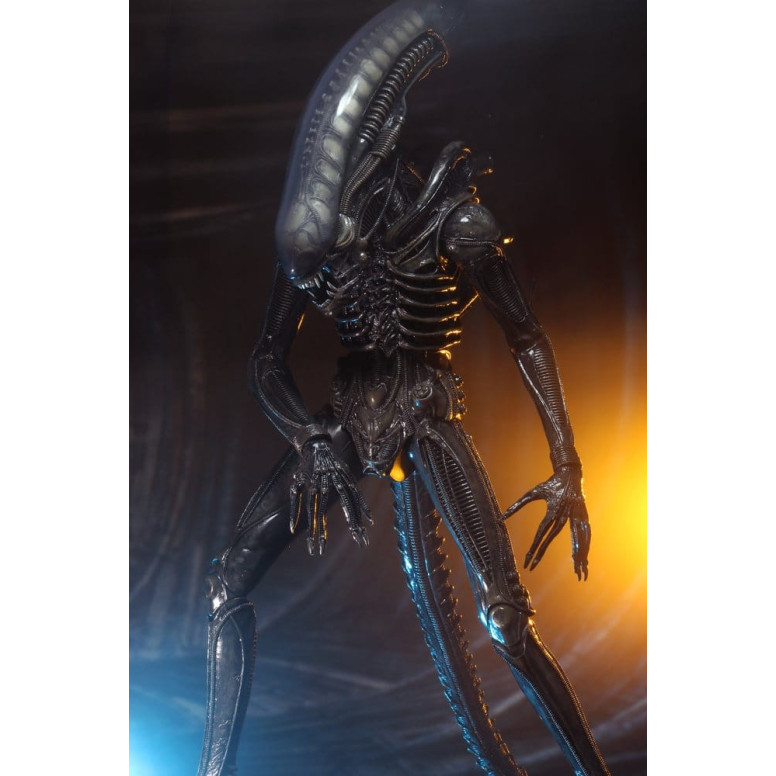Neca Alien 1979 - Big Chap 1/4 - Scatola Kenner