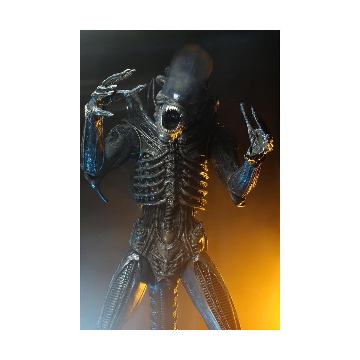 Neca Alien 1979 - Big Chap 1/4 - Scatola Kenner