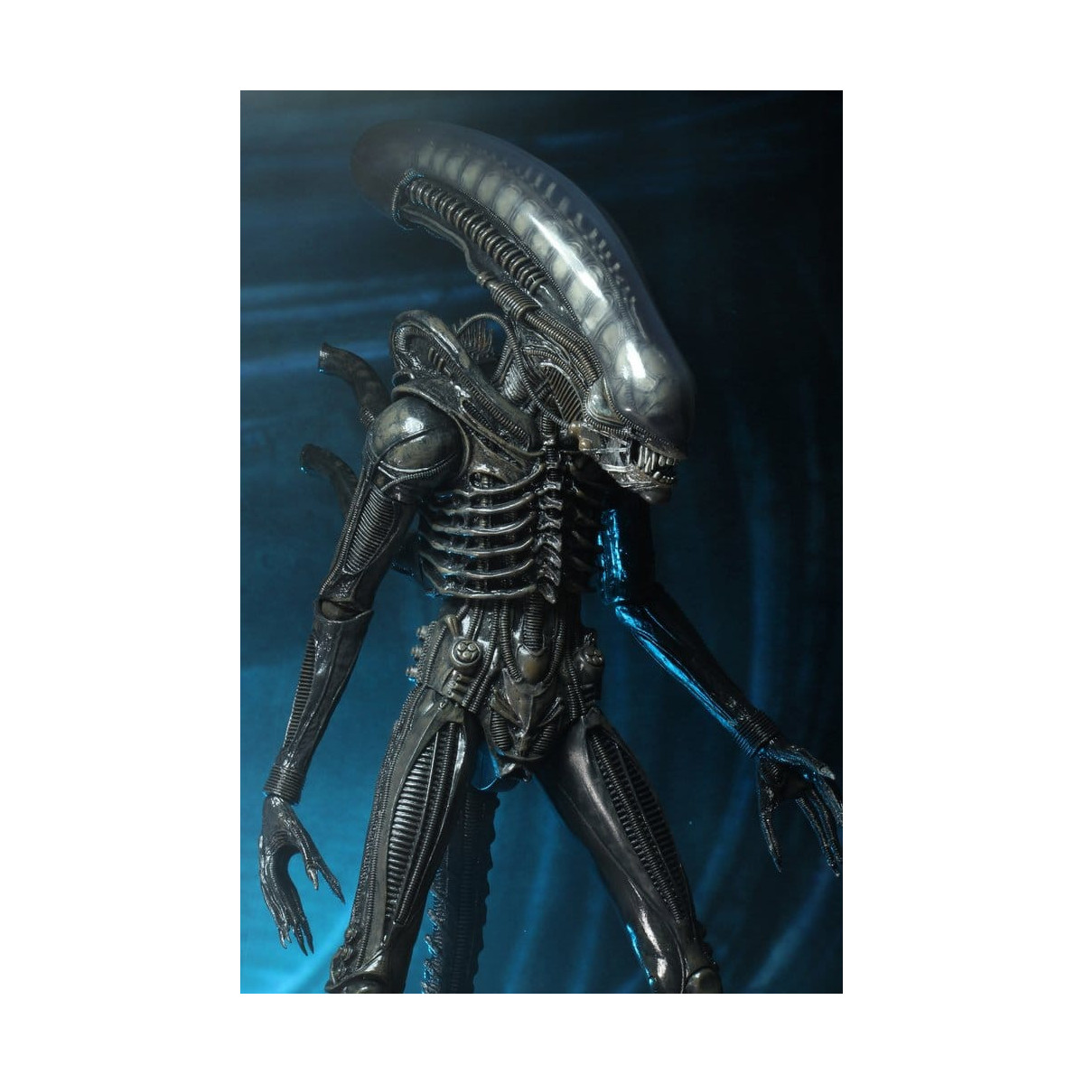 Neca Alien 1979 - Big Chap 1/4 - Scatola Kenner