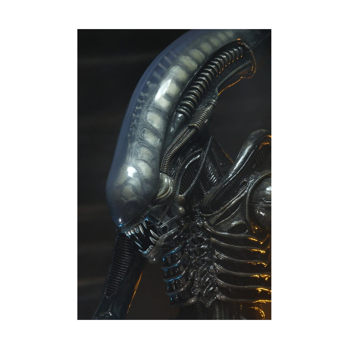 Neca Alien 1979 - Big Chap 1/4 - Scatola Kenner