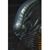 Neca Alien 1979 - Big Chap 1/4 - Scatola Kenner