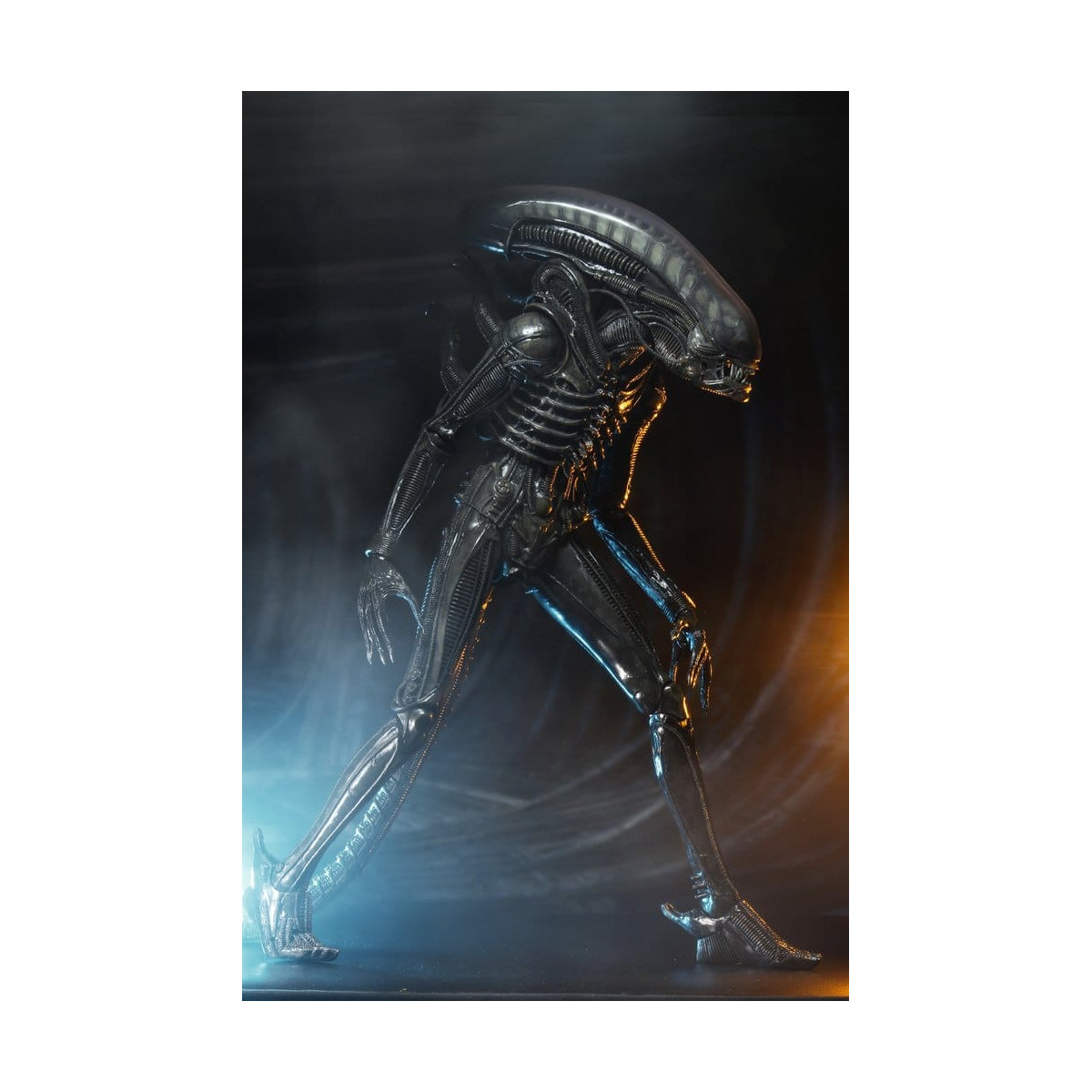 Neca Alien 1979 - Big Chap 1/4 - Scatola Kenner
