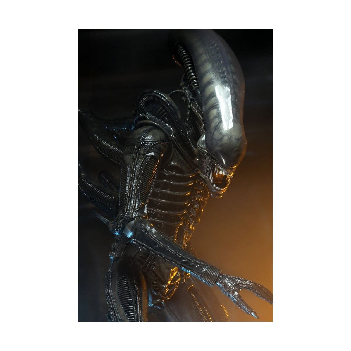 Neca Alien 1979 - Big Chap 1/4 - Scatola Kenner