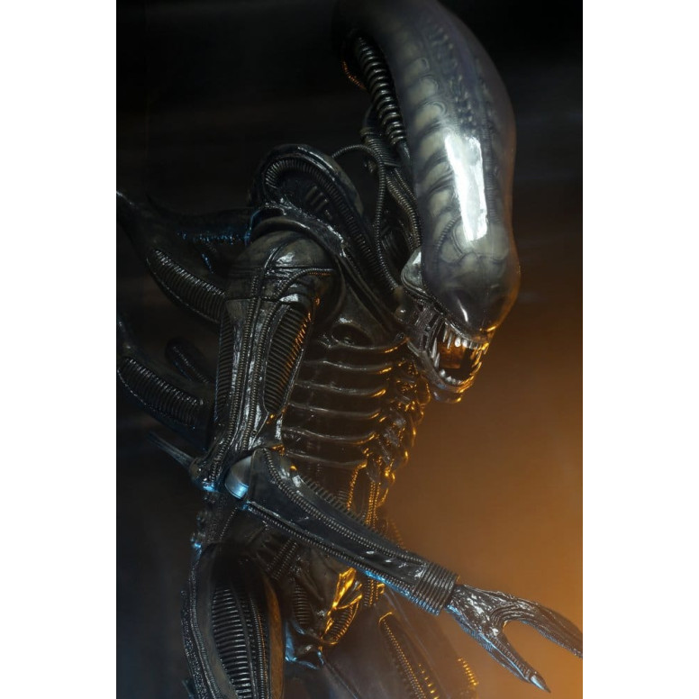 Neca Alien 1979 - Big Chap 1/4 - Scatola Kenner