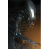 Neca Alien 1979 - Big Chap 1/4 - Scatola Kenner