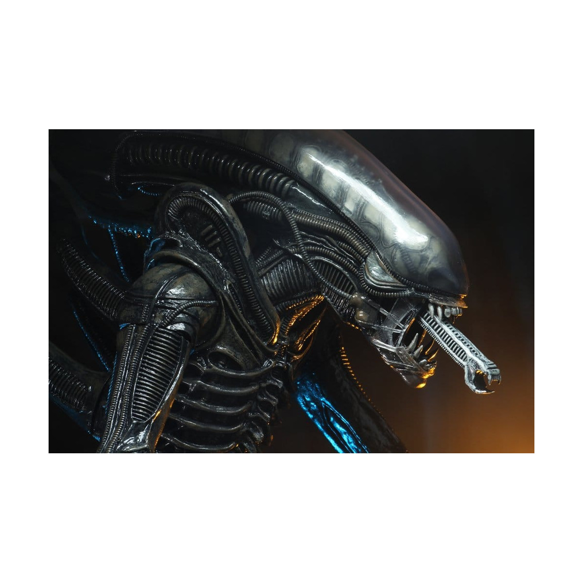 Neca Alien 1979 - Big Chap 1/4 - Scatola Kenner