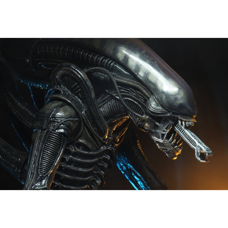 Neca Alien 1979 - Big Chap 1/4 - Scatola Kenner