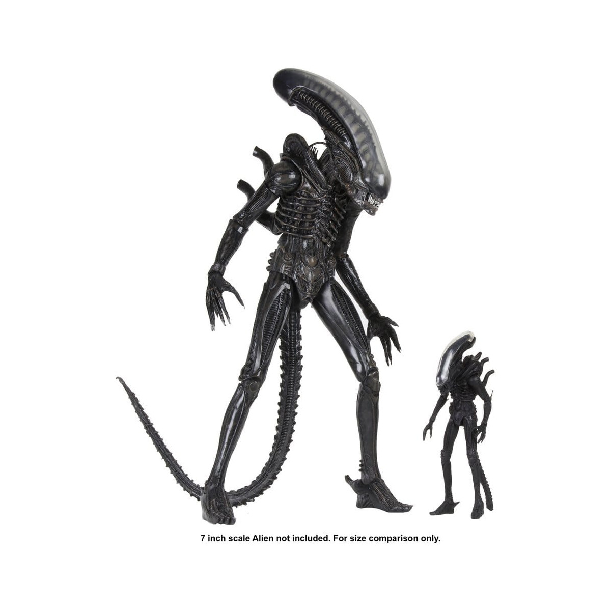 Neca Alien 1979 - Big Chap 1/4 - Scatola Kenner