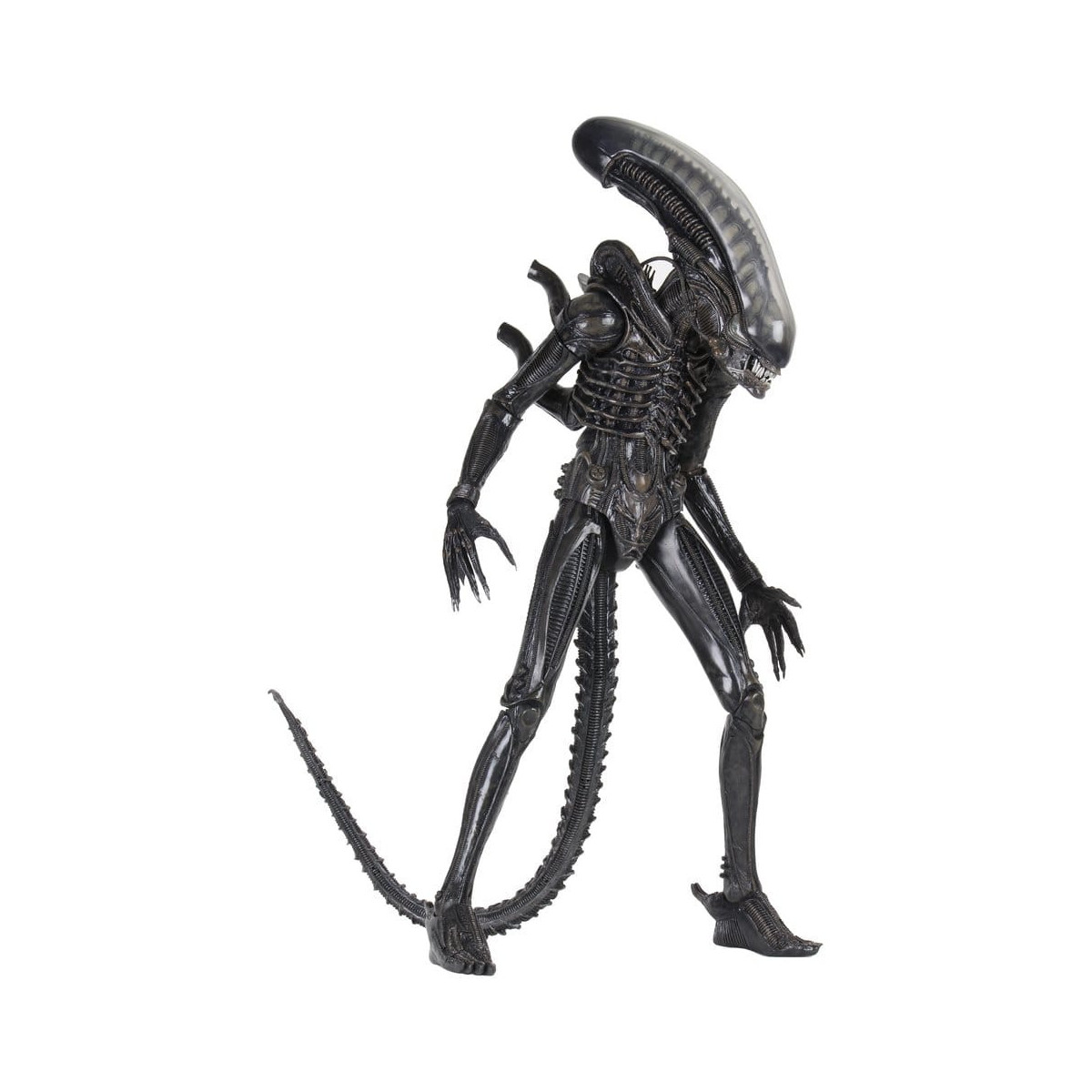 Neca Alien 1979 - Big Chap 1/4 - Scatola Kenner