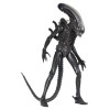 Neca Alien 1979 - Big Chap 1/4 - Scatola Kenner